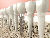 Dental Topics for General and Pediatric Dentists
